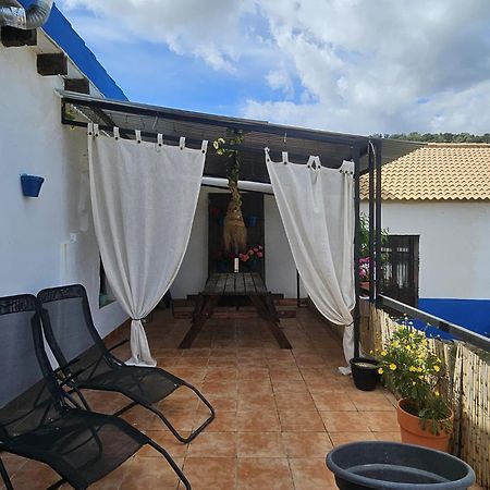 Experience Alpacas In Andalucia Apartment Cordoba Exterior photo