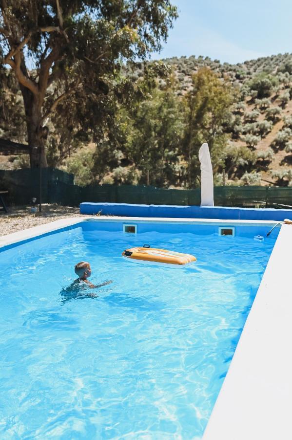 Experience Alpacas In Andalucia Apartment Cordoba Exterior photo