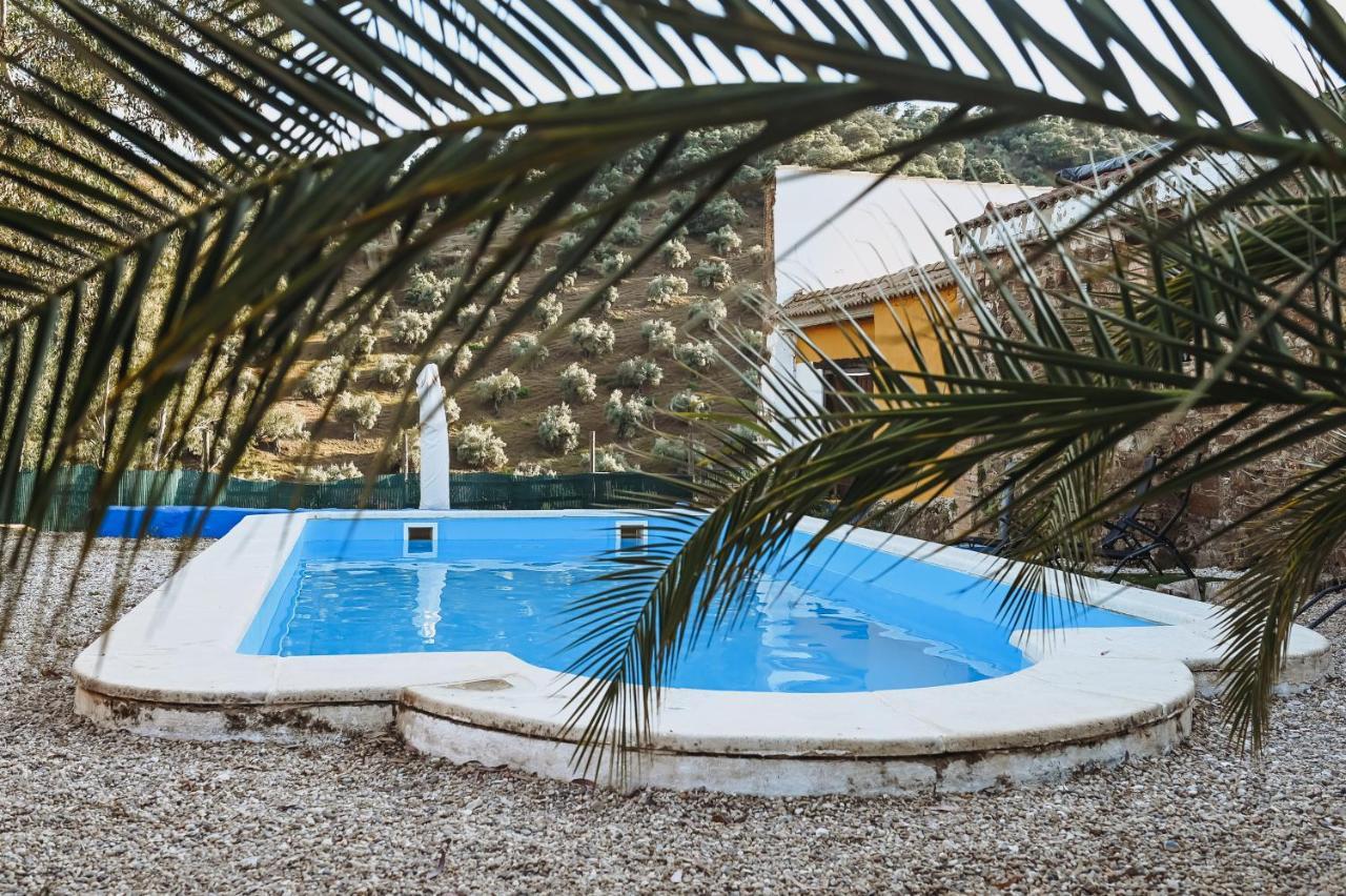 Experience Alpacas In Andalucia Apartment Cordoba Exterior photo