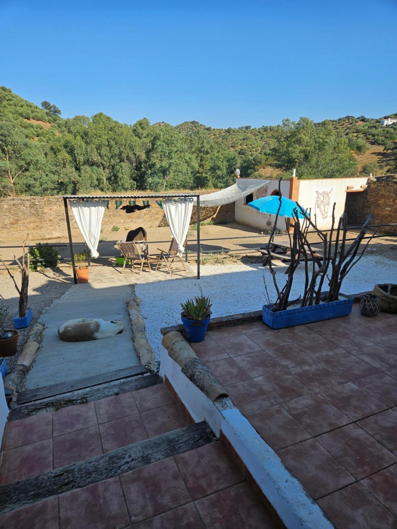 Experience Alpacas In Andalucia Apartment Cordoba Exterior photo