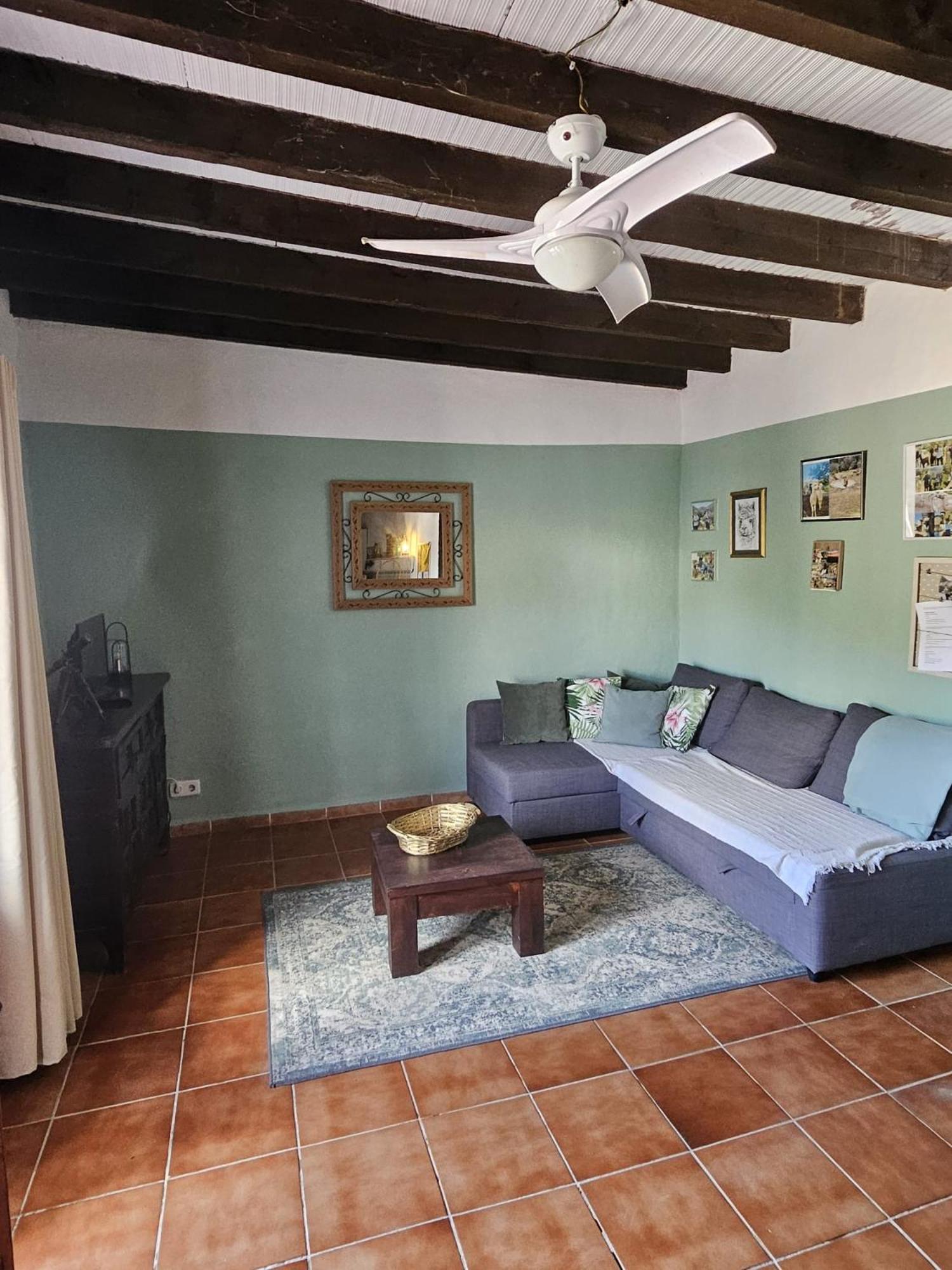 Experience Alpacas In Andalucia Apartment Cordoba Exterior photo