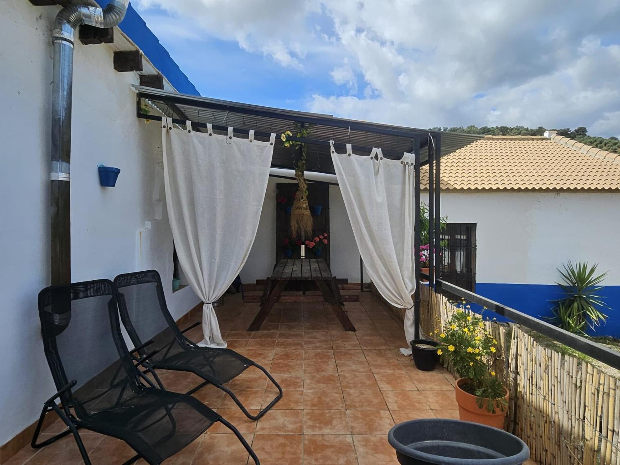 Experience Alpacas In Andalucia Apartment Cordoba Exterior photo