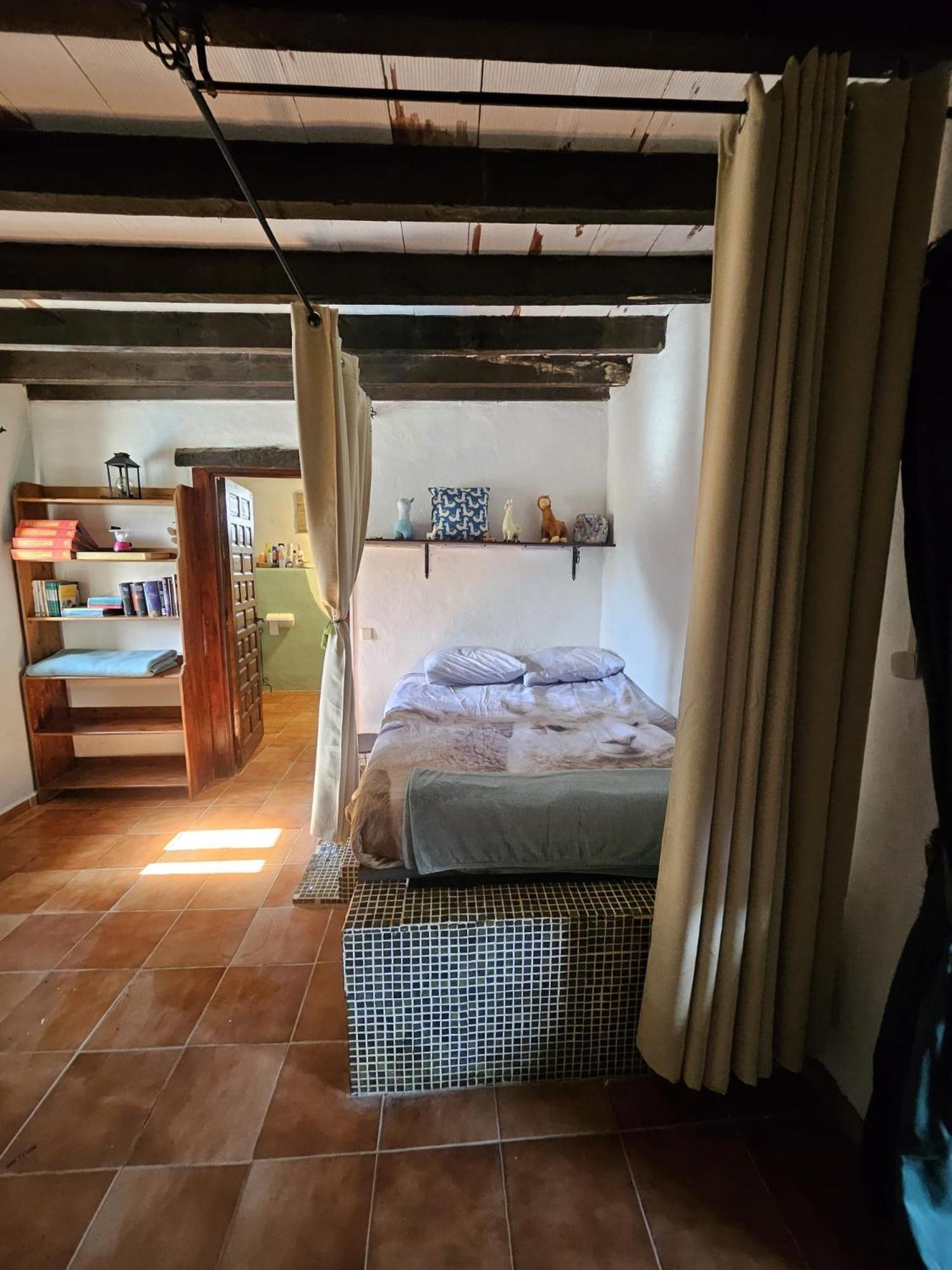 Experience Alpacas In Andalucia Apartment Cordoba Room photo