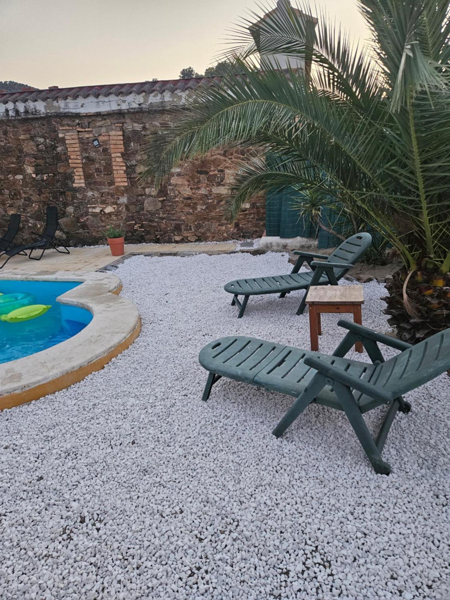 Experience Alpacas In Andalucia Apartment Cordoba Room photo