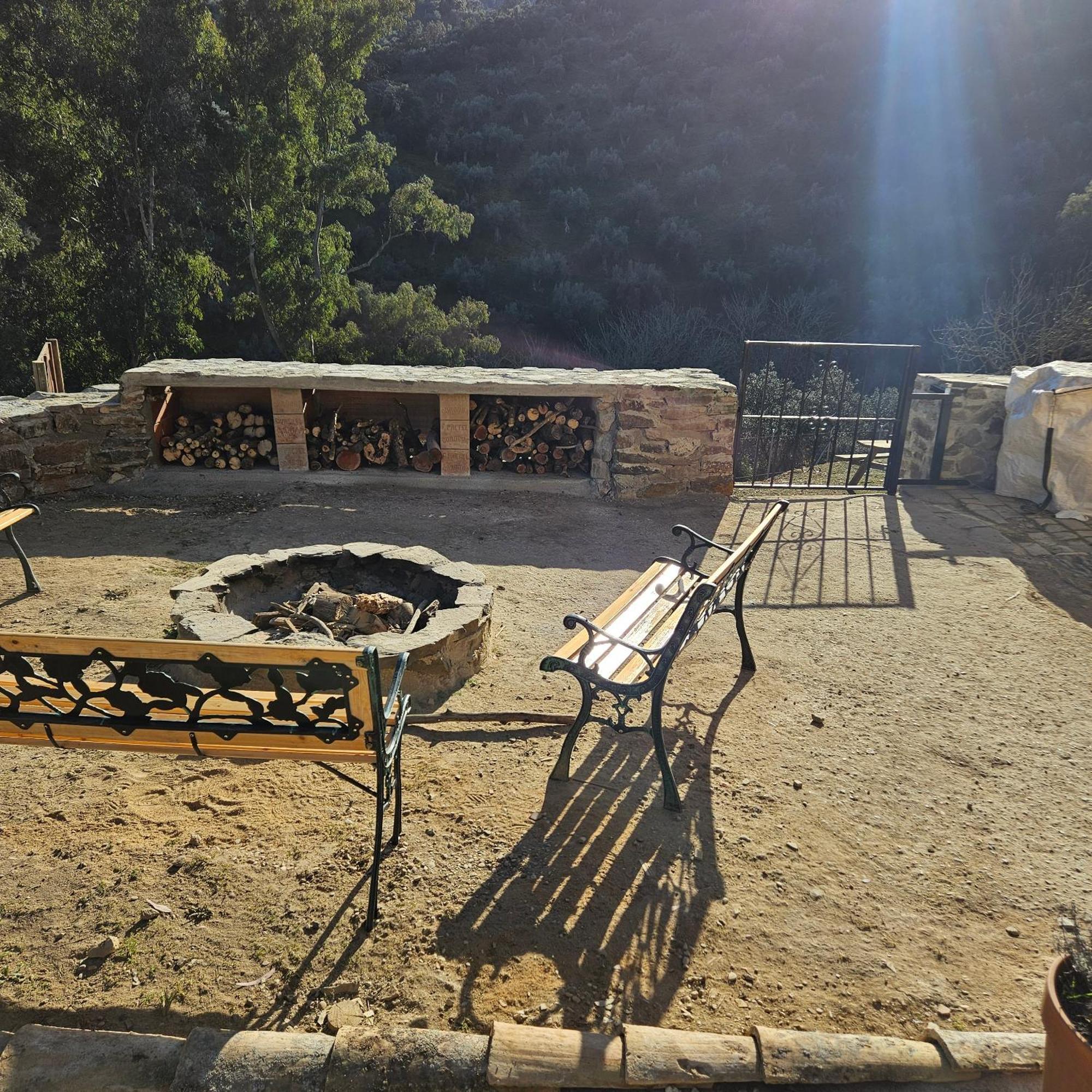Experience Alpacas In Andalucia Apartment Cordoba Exterior photo